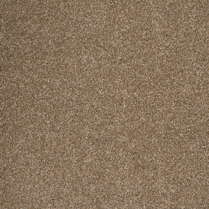 Harrogate Pebble 35 Carpet