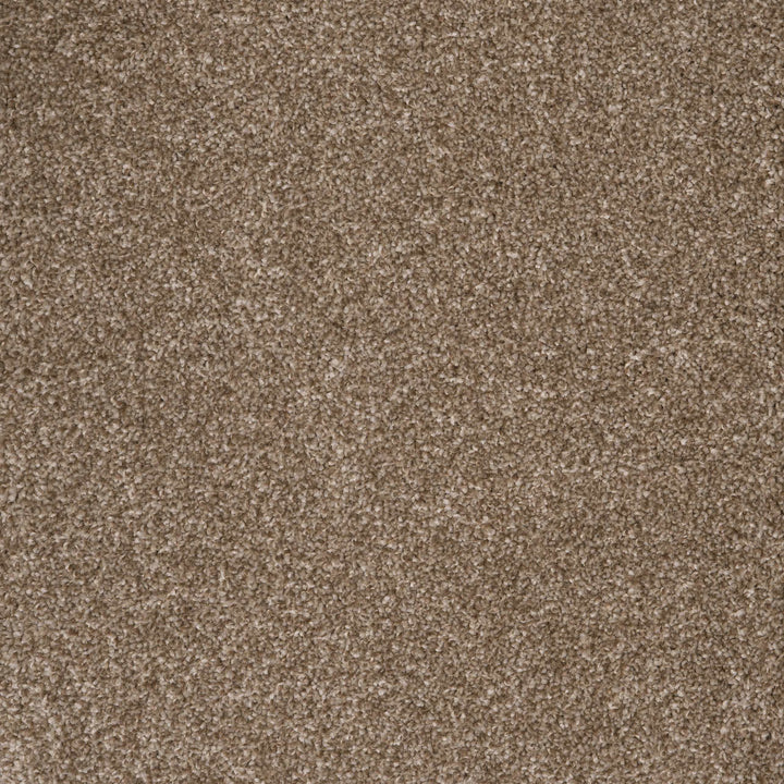 Harrogate Biscuit 38 Carpet