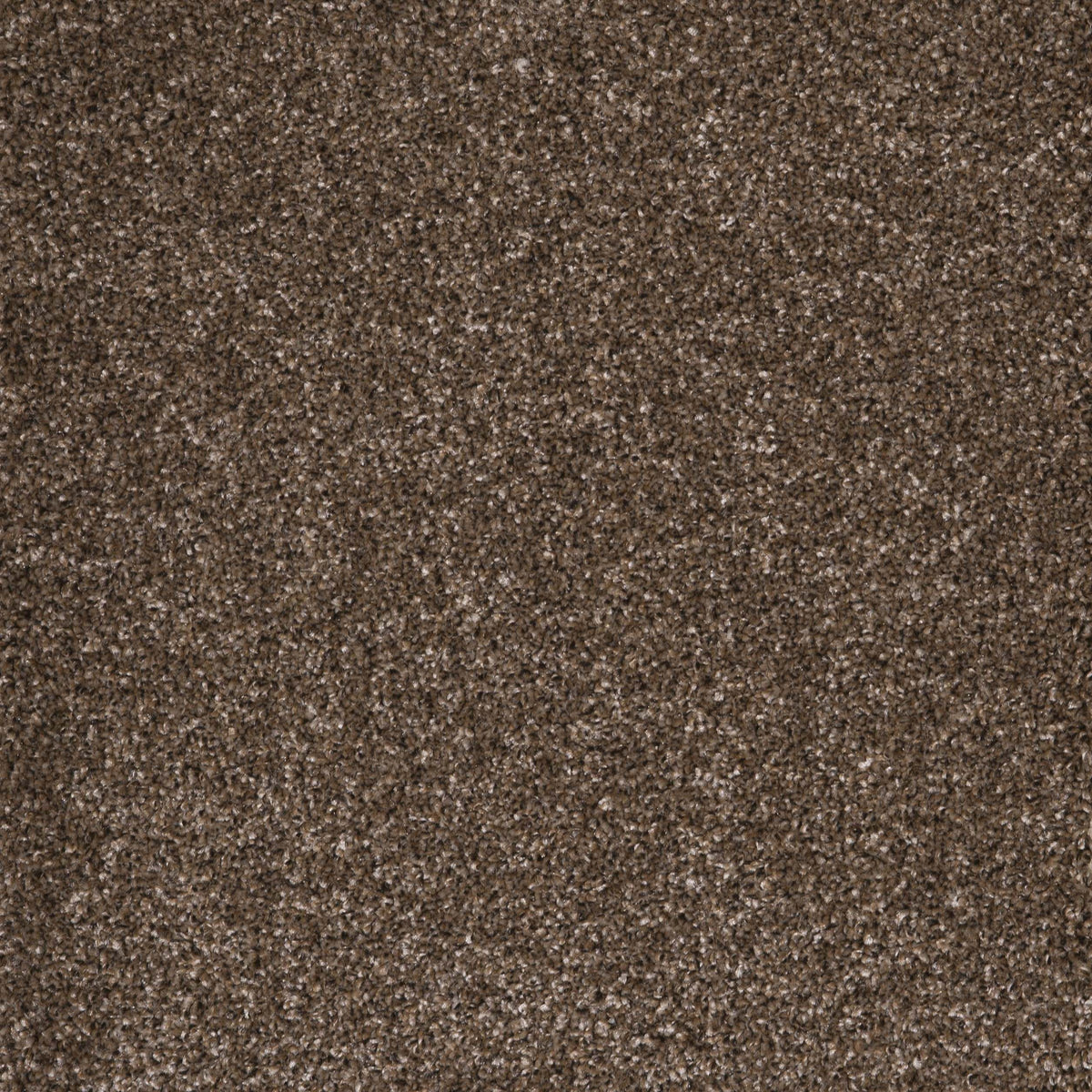 Harrogate Basalt 49 Carpet