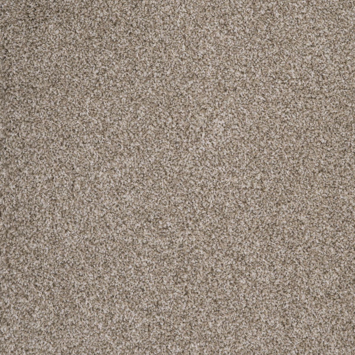Harrogate Cocoon Beige 91 Carpet