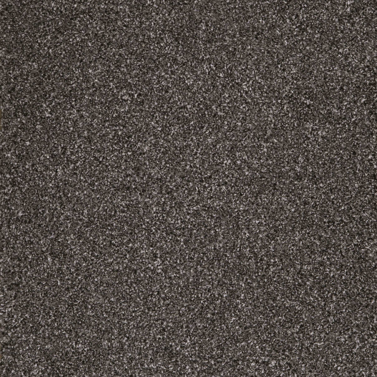 Harrogate Charcoal 98 Carpet