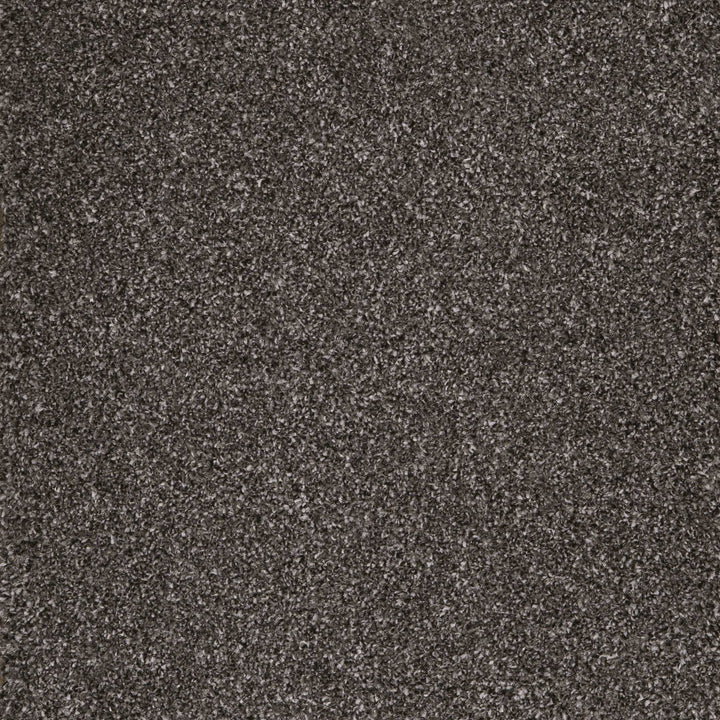 Harrogate Charcoal 98 Carpet