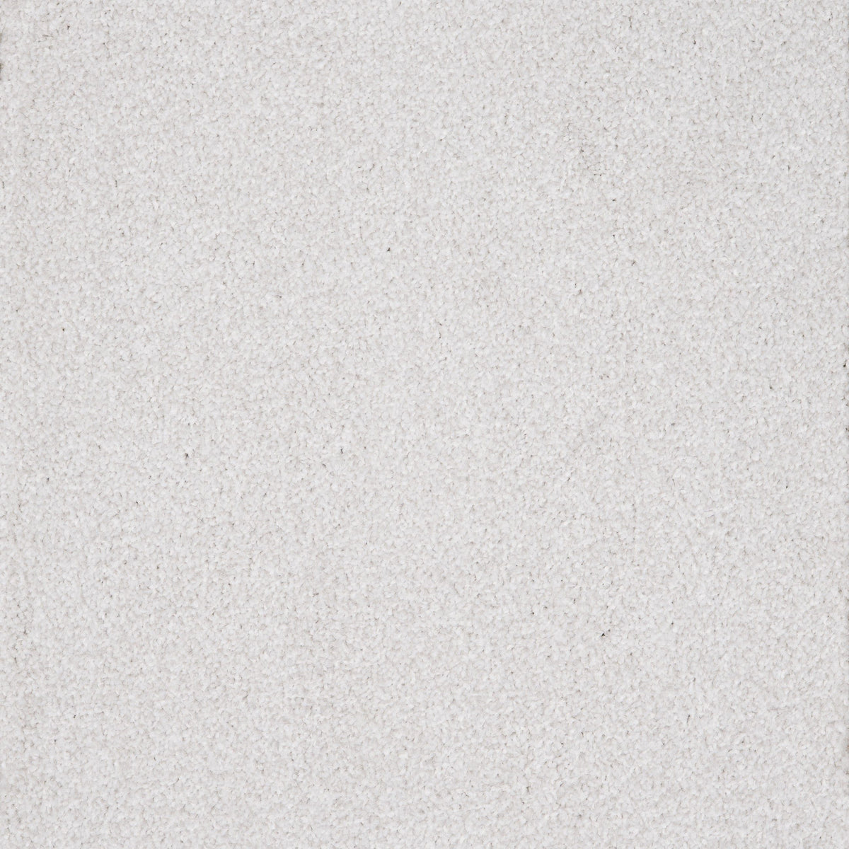 Viva Coconut Milk 08 Carpet