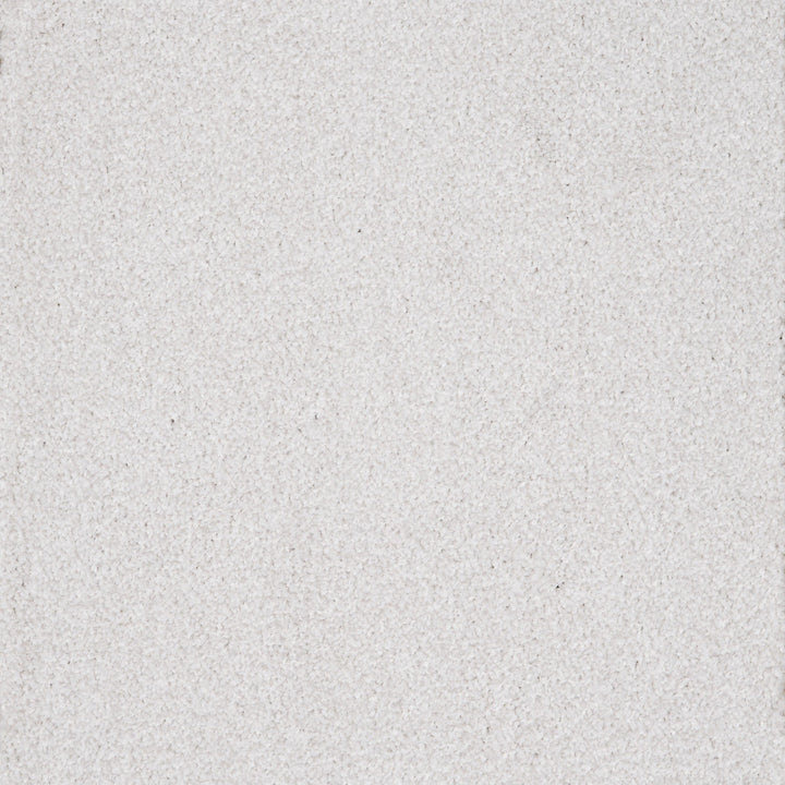 Viva Coconut Milk 08 Carpet