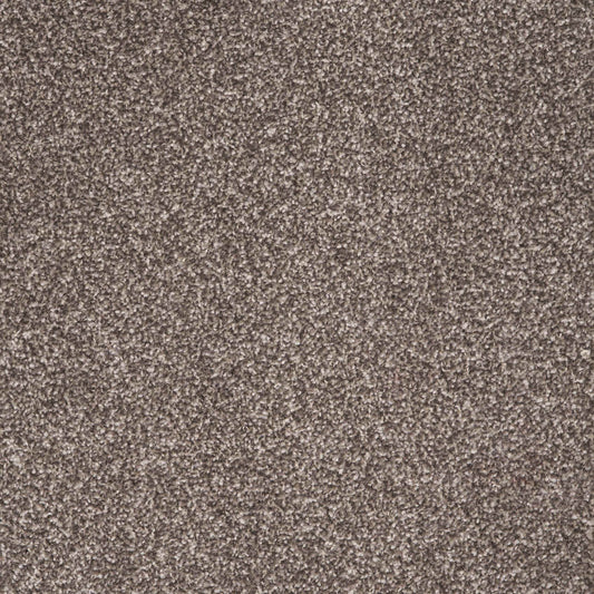 Viva Iced Coffee 40 Carpet