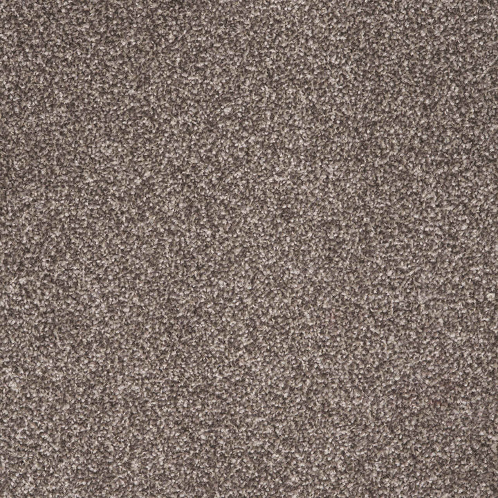 Viva Iced Coffee 40 Carpet