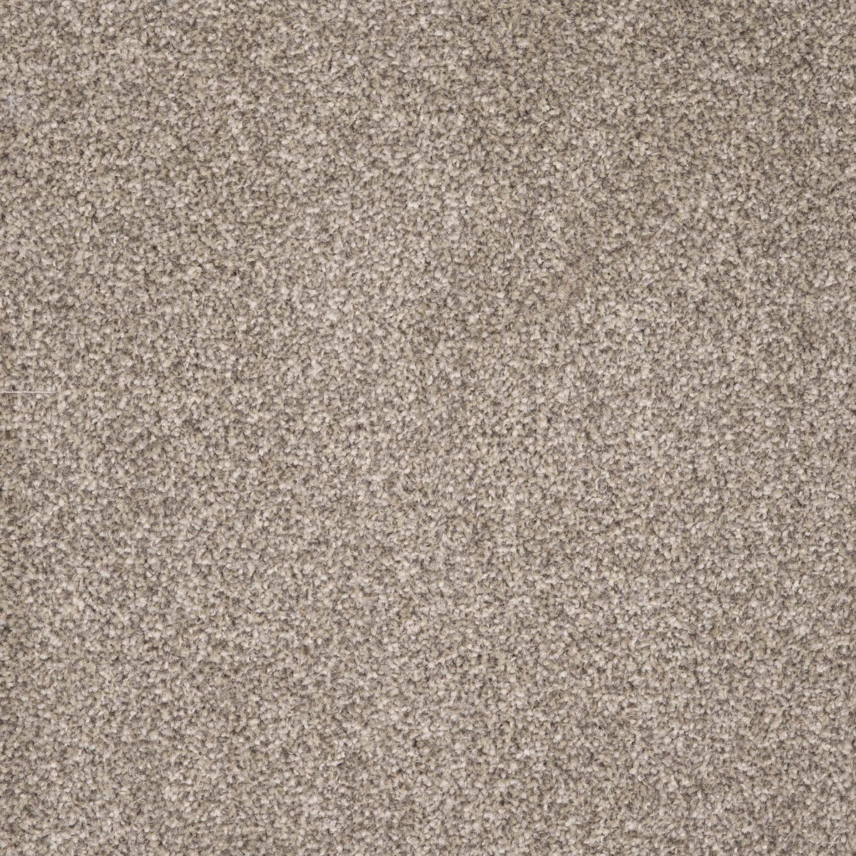 Viva Mocha 54 Carpet