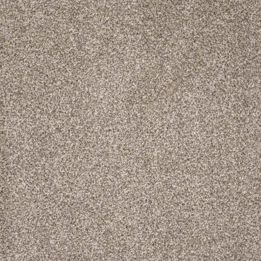 Viva Mocha 54 Carpet