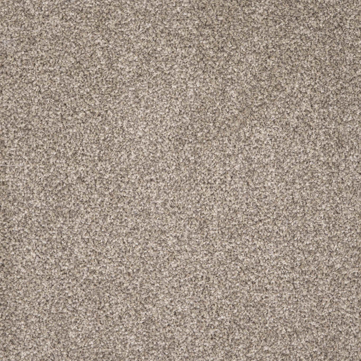 Viva Mocha 54 Carpet
