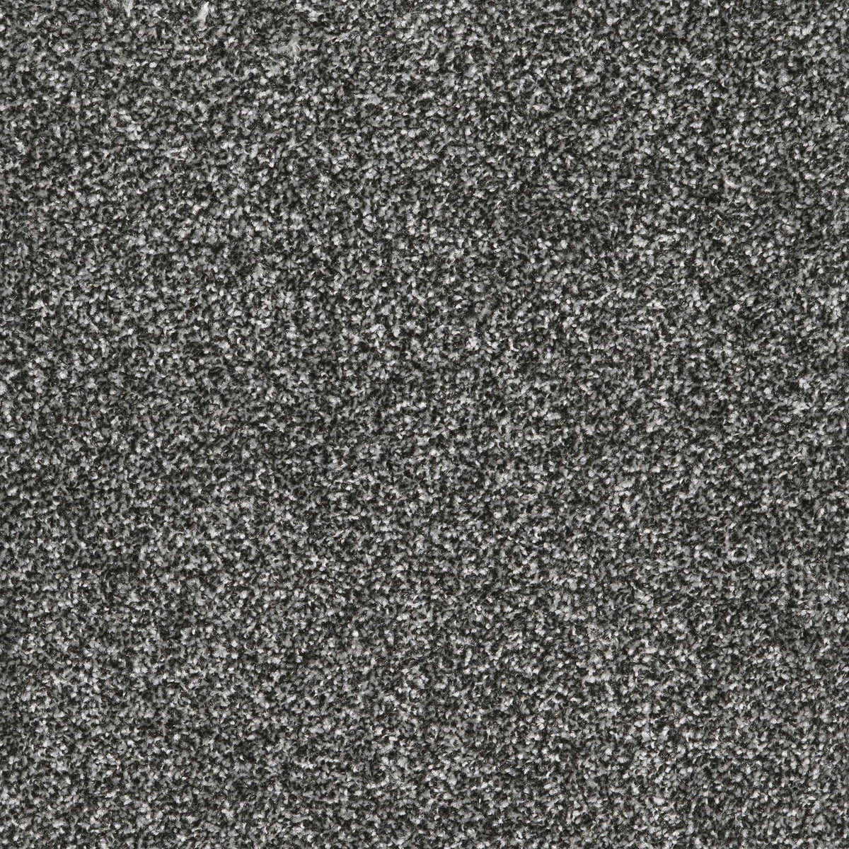 Viva Shadow 58 Carpet