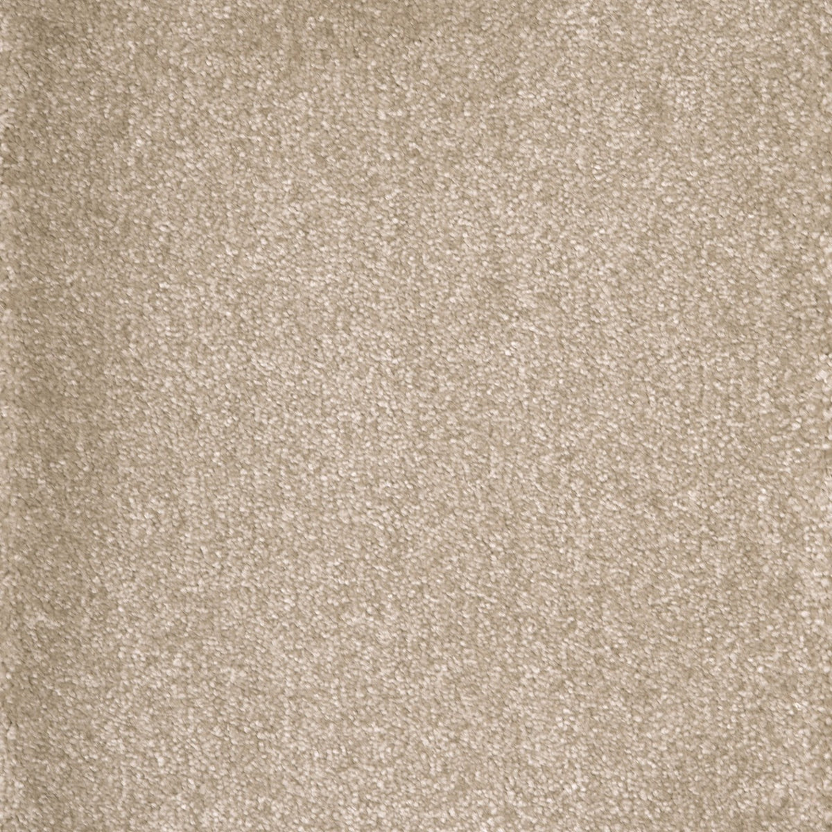 Castor Cottonbud 30 Carpet