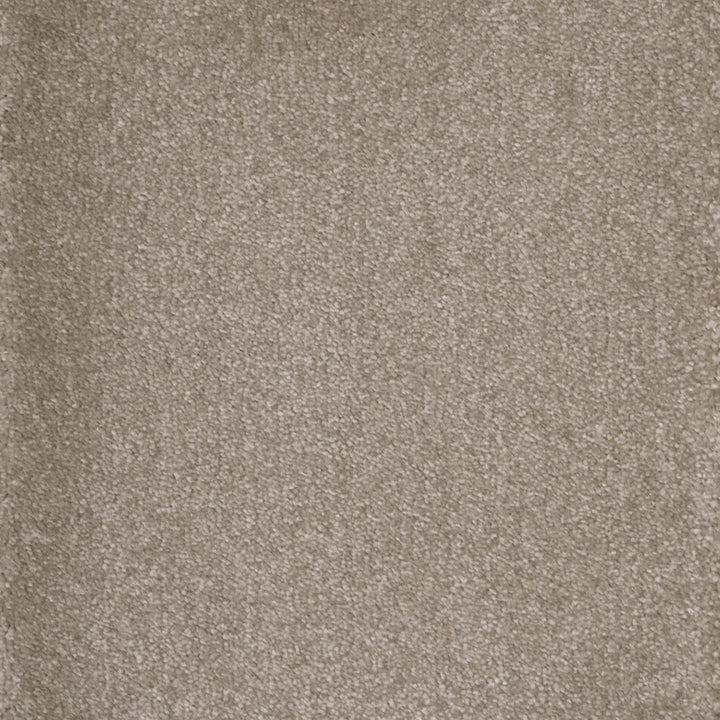 Castor Rabbits Foot 33 Carpet