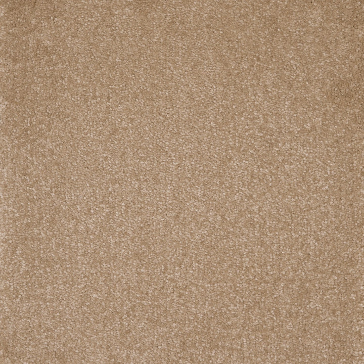 Castor Biscuit Crumb 35 Carpet