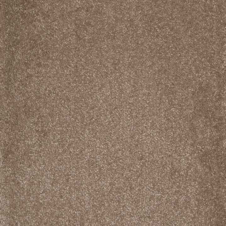Castor Nutmeg 40 Carpet