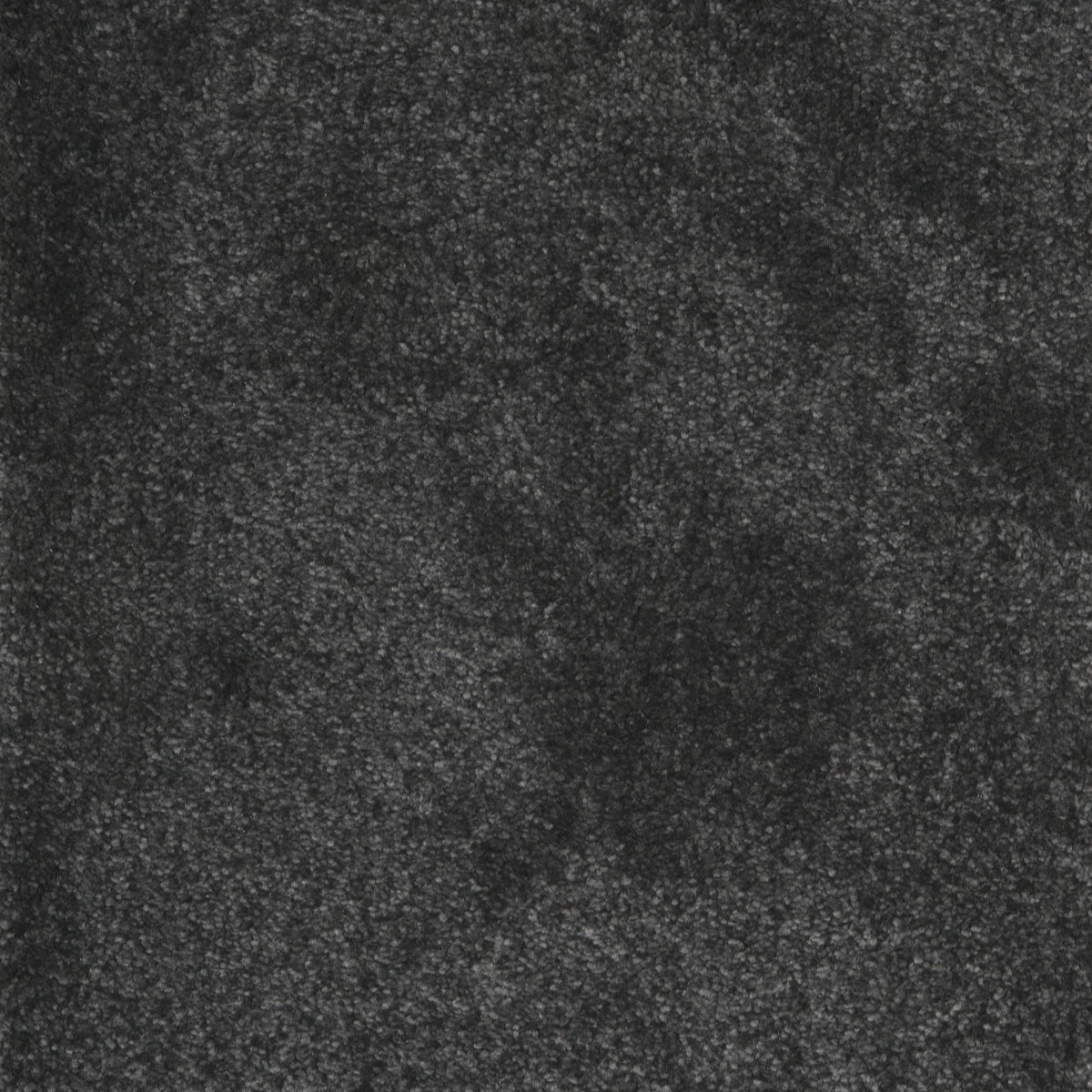 Castor Anthracite 98 Carpet