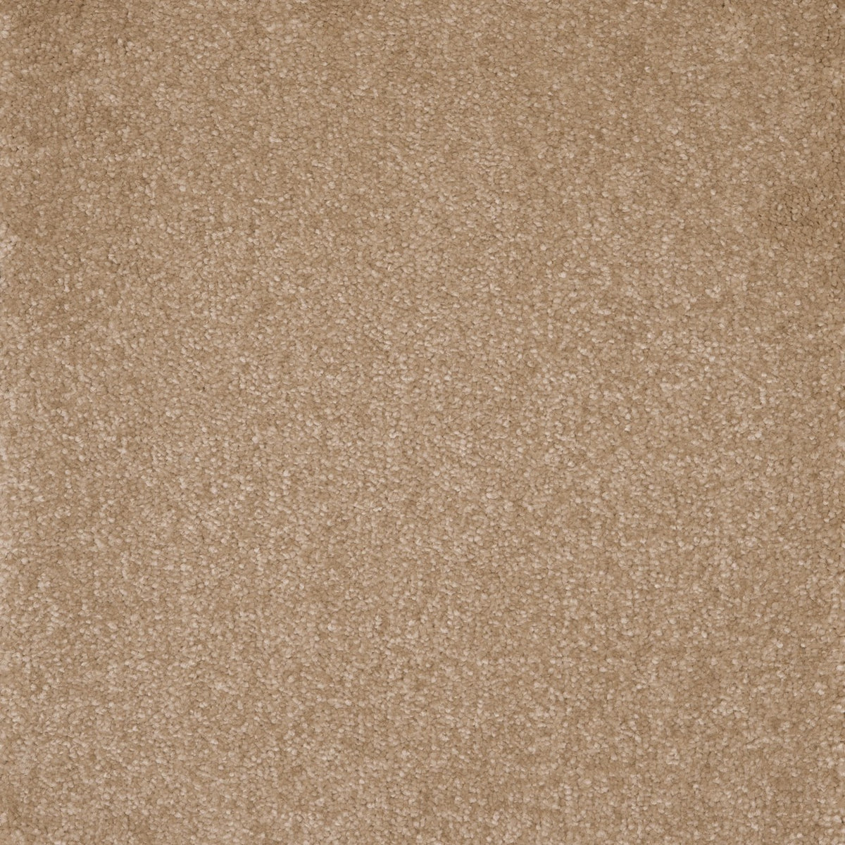 Canopus Biscuit Crumb 35 Carpet