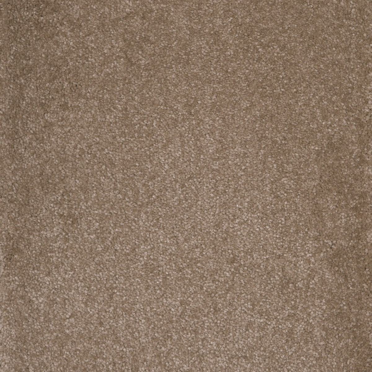 Canopus Nutmeg 40 Carpet