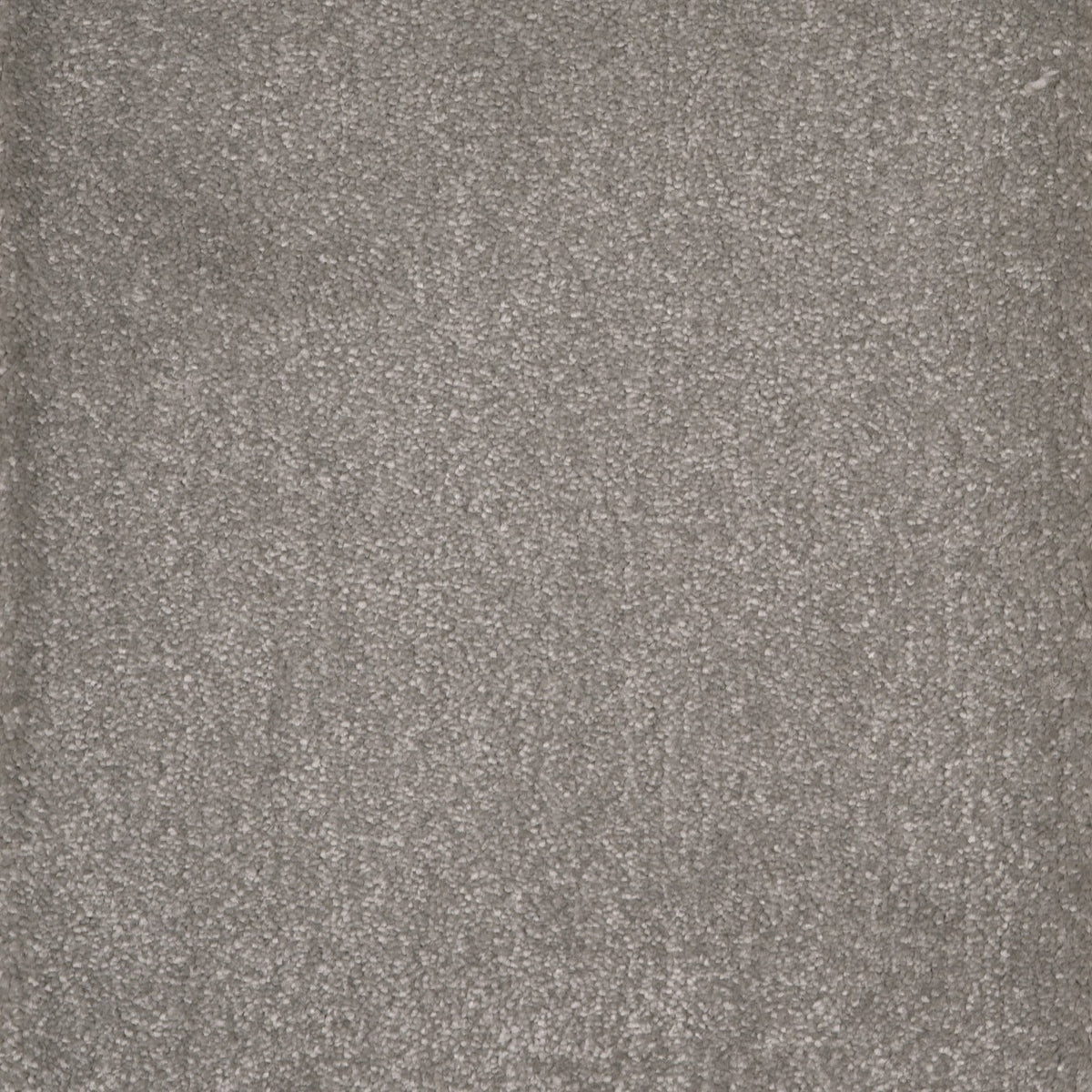 Canopus Seal 93 Carpet