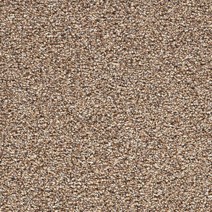 Noble Heathers Felt Seal Brown 875 Carpet