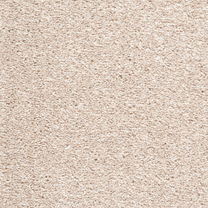 Splendid Saxony Felt 670 Carpet