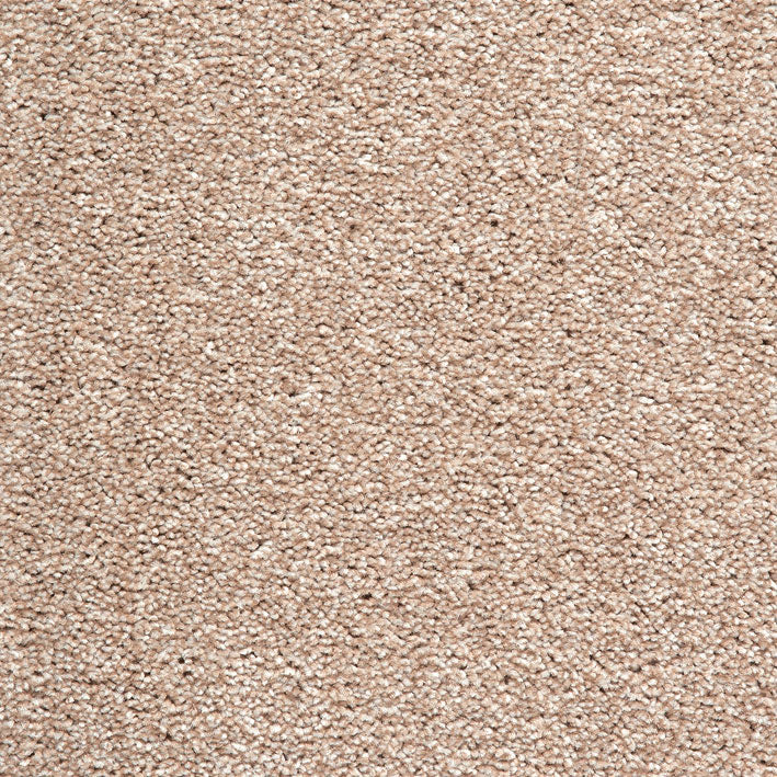 Splendid Saxony Felt 680 Carpet