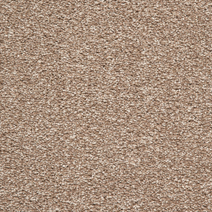 Splendid Saxony Felt 785 Carpet