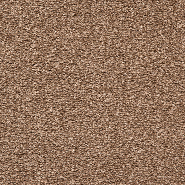 Splendid Saxony Felt 825 Carpet