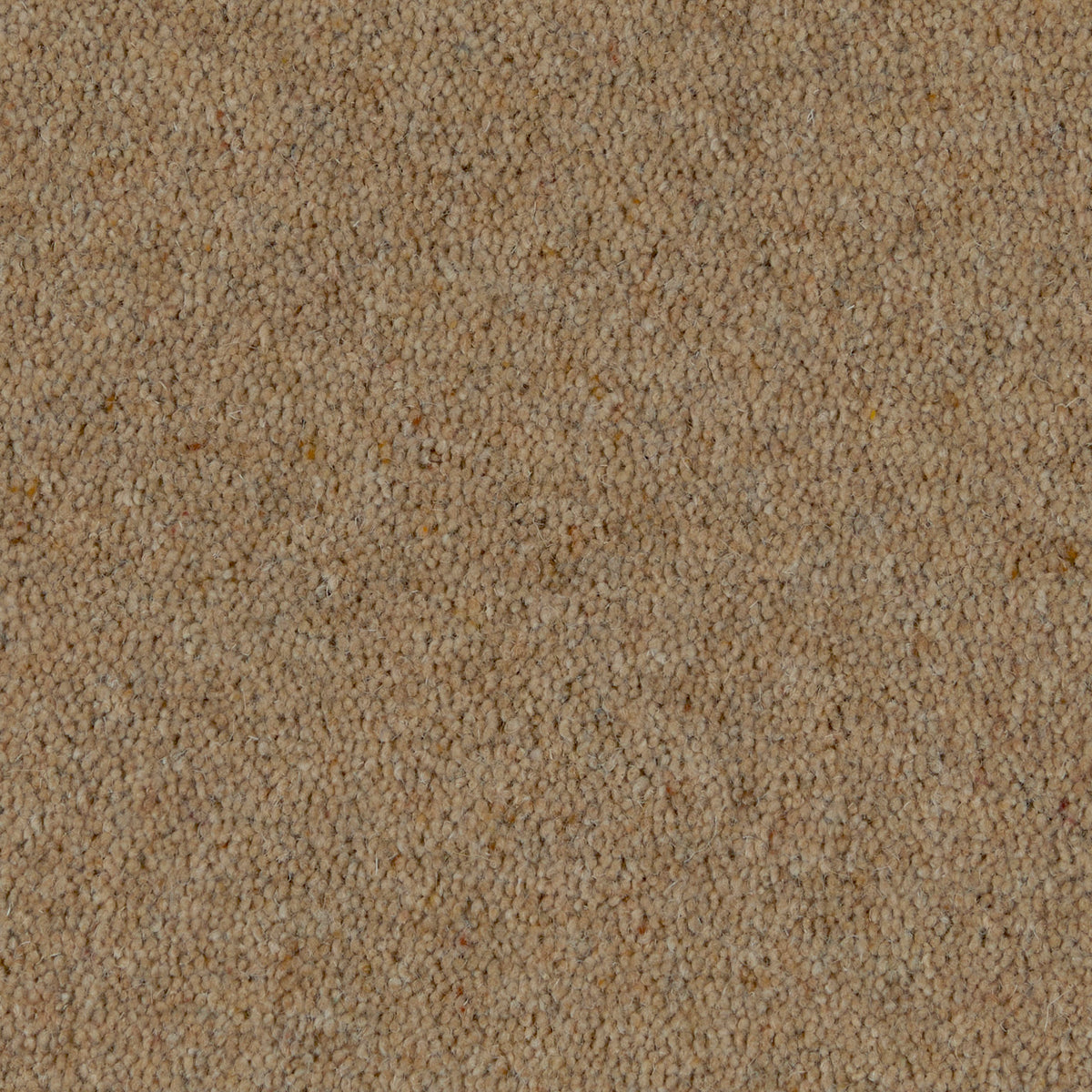 Prestige Twist 50 Sandstone 700 Carpet