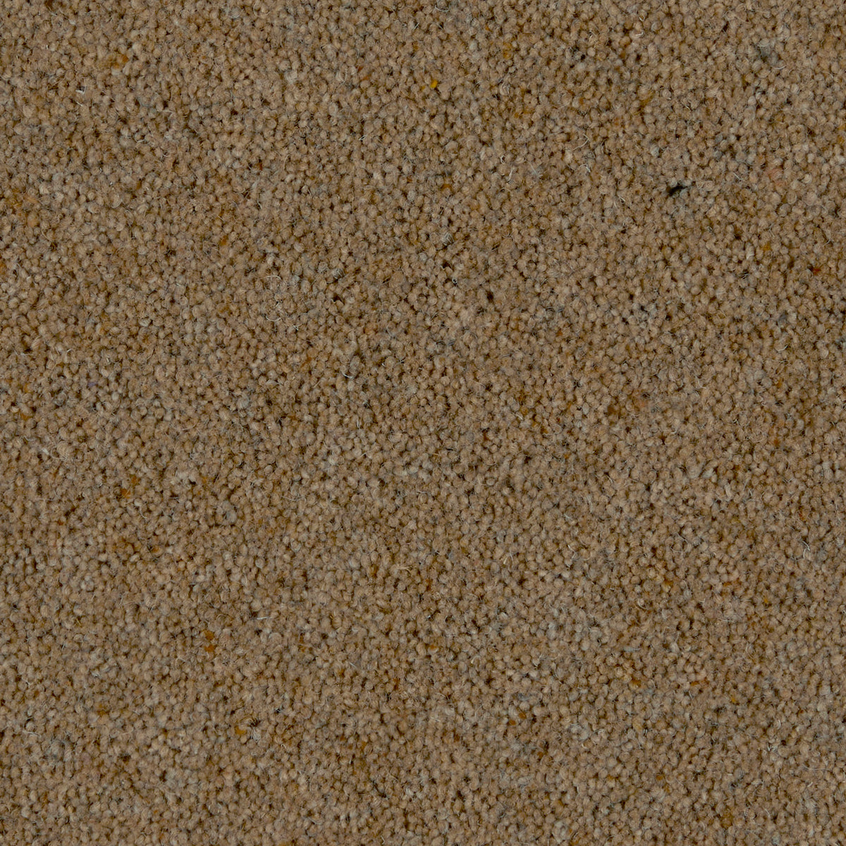 Prestige Twist 50 Tea Biscuit 740 Carpet