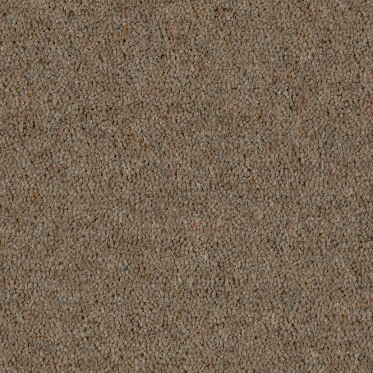 Prestige Twist 50 Chocolate Moment 820 Carpet