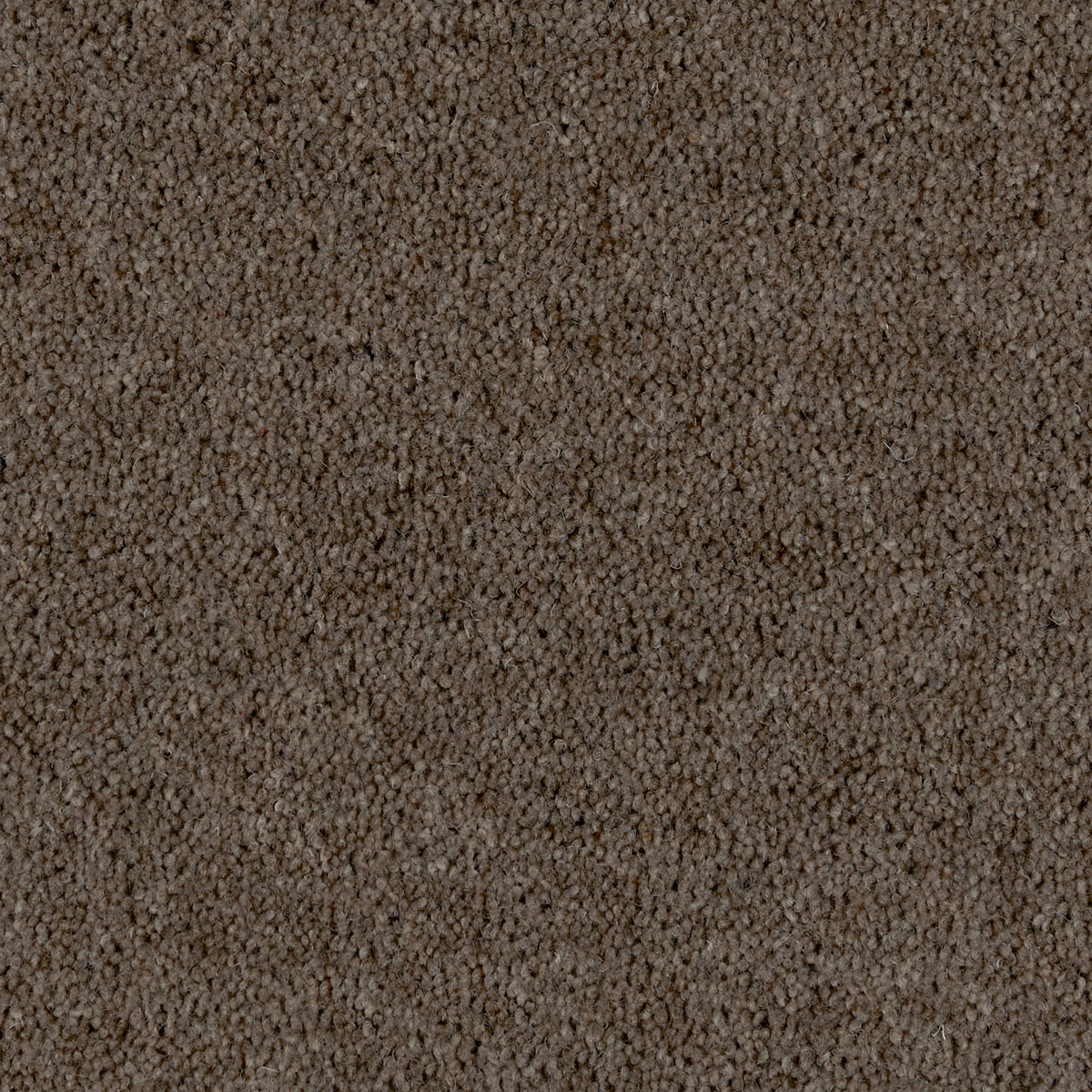 Prestige Twist 50 Cafe Latte 880 Carpet