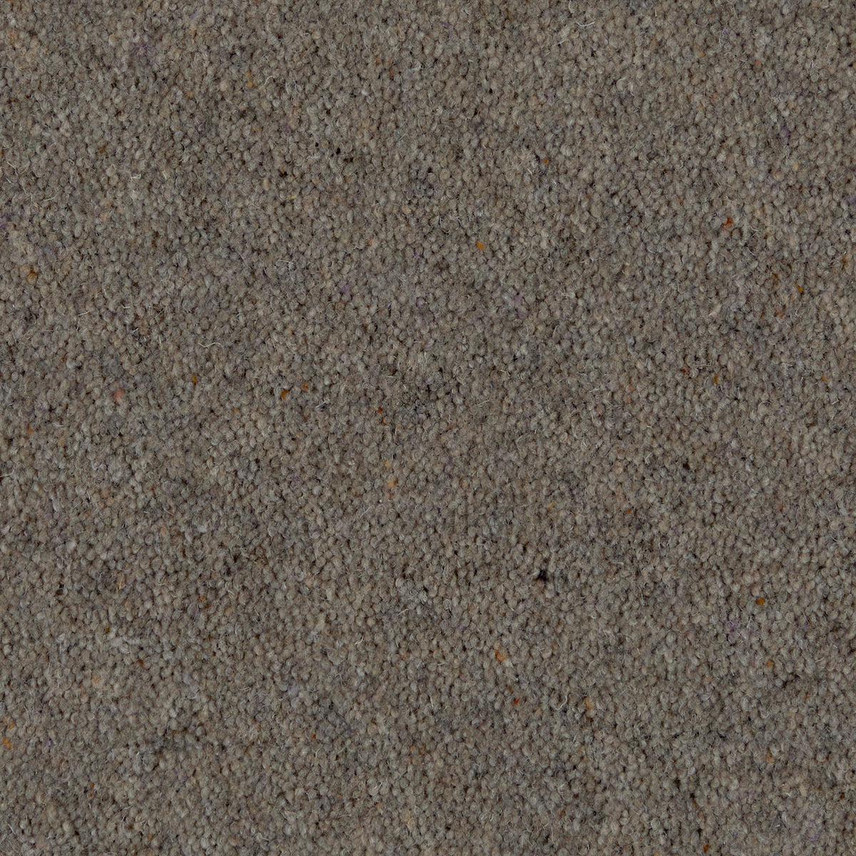 Prestige Twist 50 Moonstone 830 Carpet