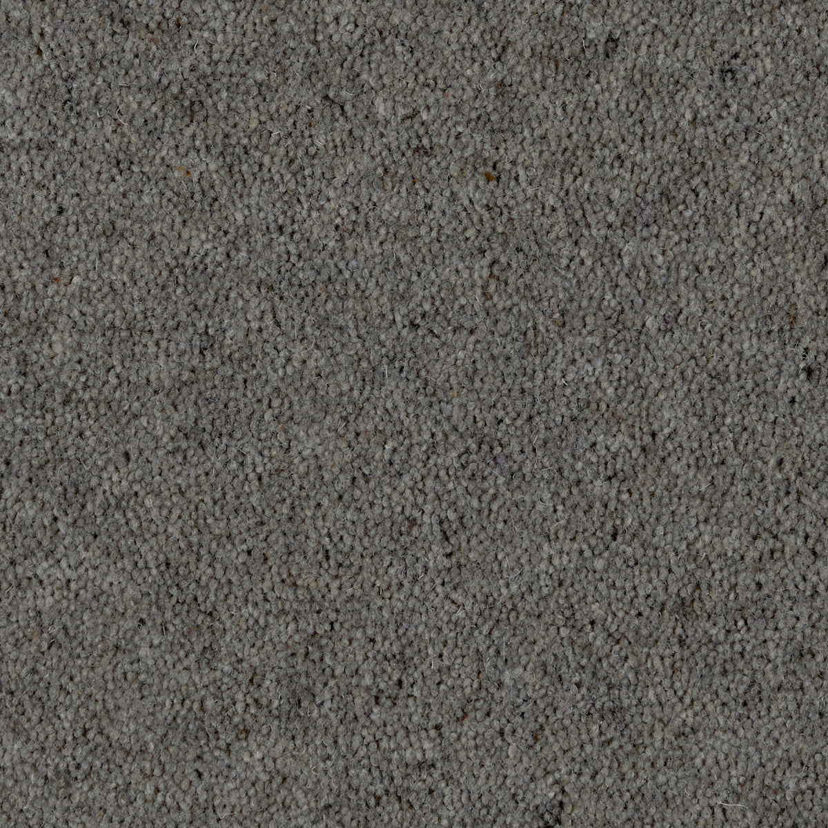 Prestige Twist 50 Pencilpoint 960 Carpet