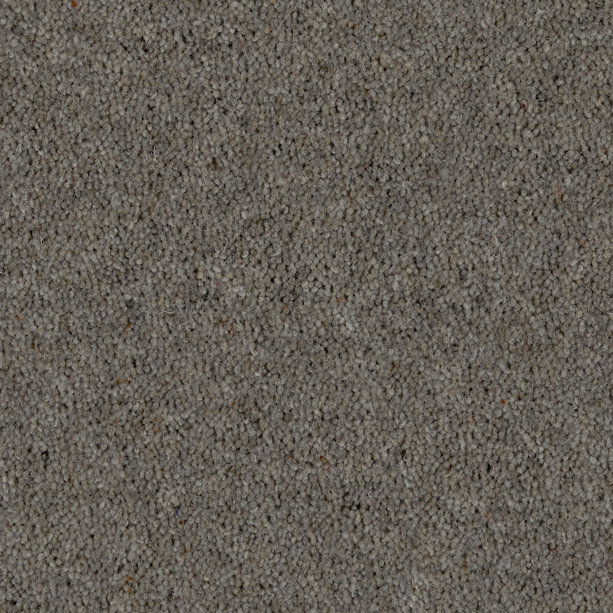 Prestige Twist 50 Deep Fossil 940 Carpet