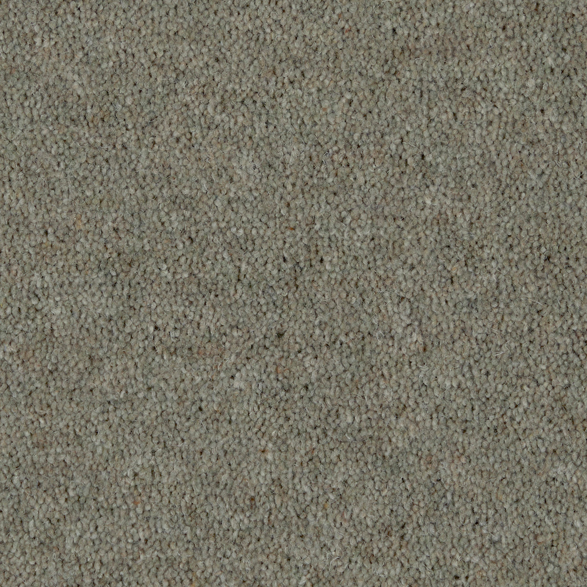 Prestige Twist 50 Sage Green 440 Carpet