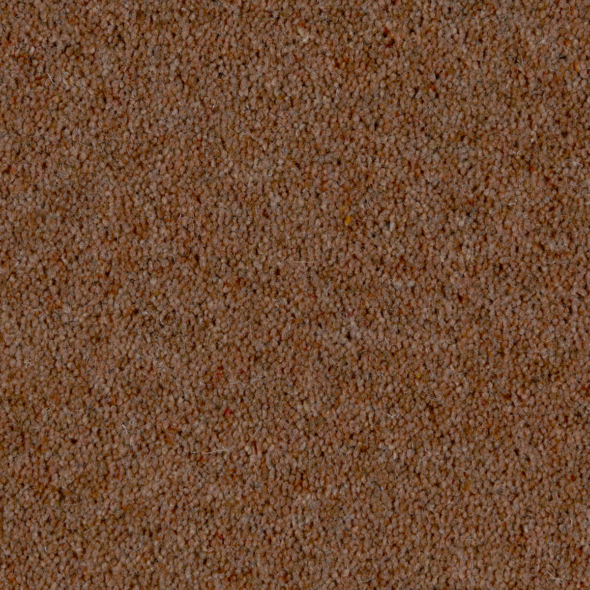 Prestige Twist 50 Copper Blush 840 Carpet