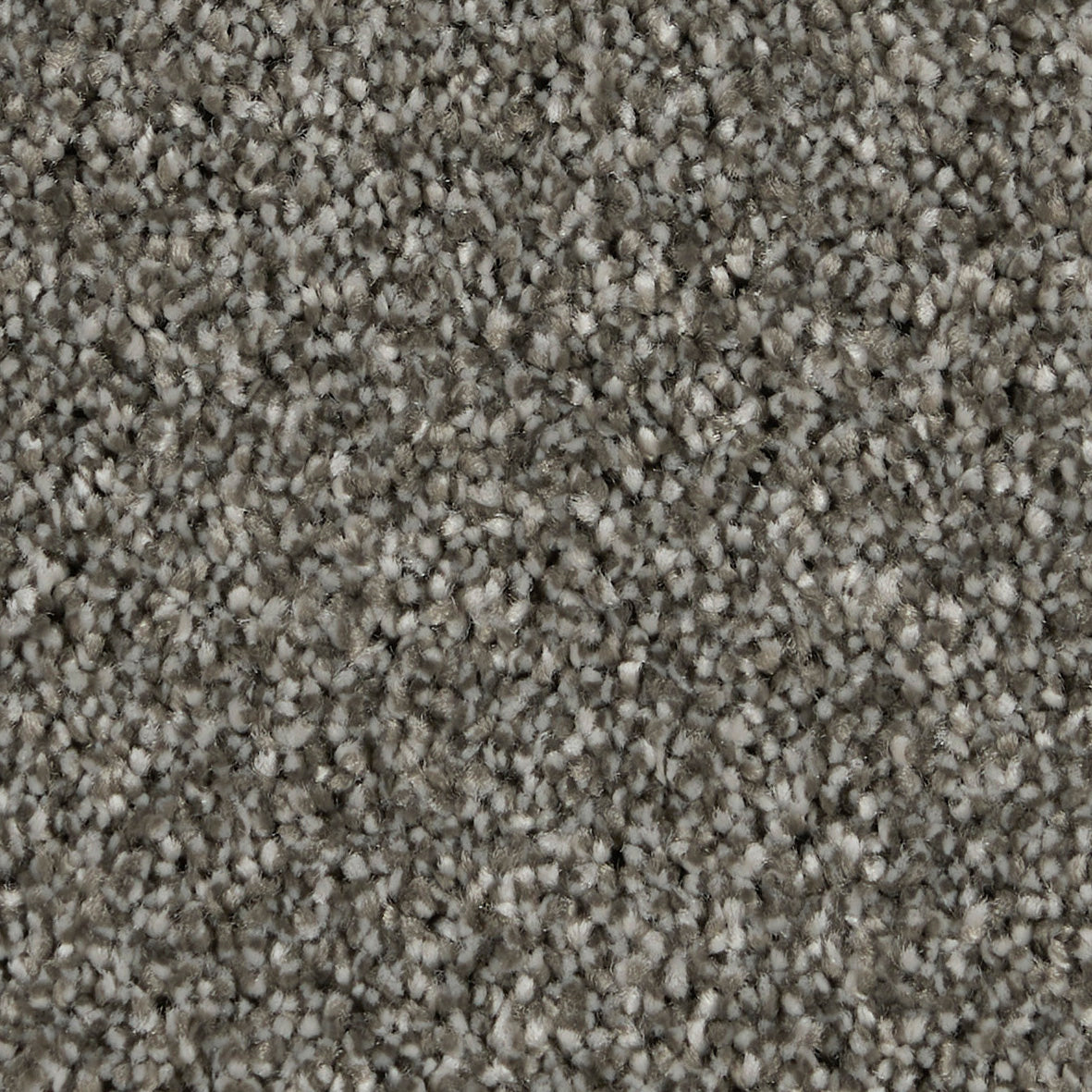 Manor Saxony Chic Shadow 950 Carpet