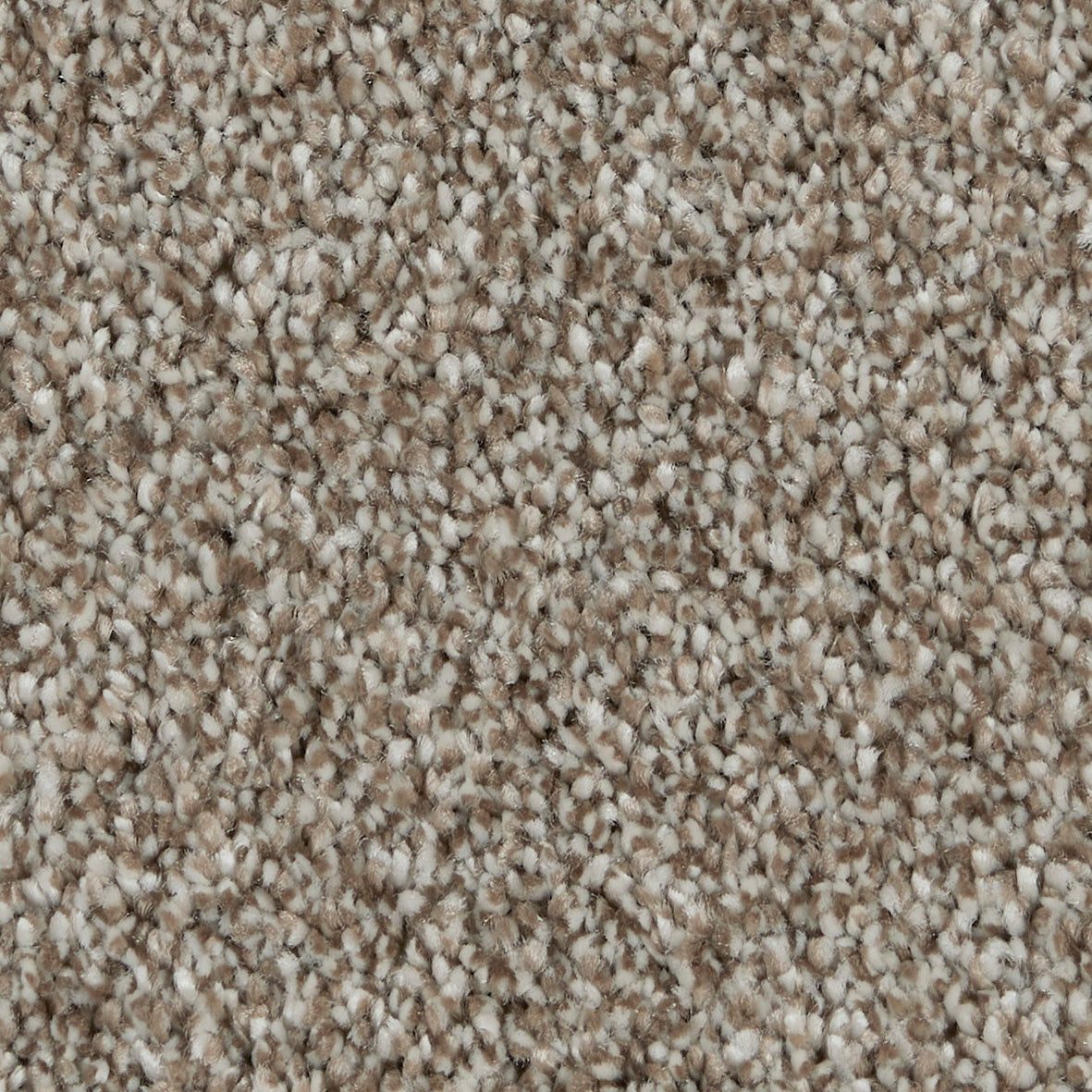 Gambit Crispy Crumble 820 Carpet