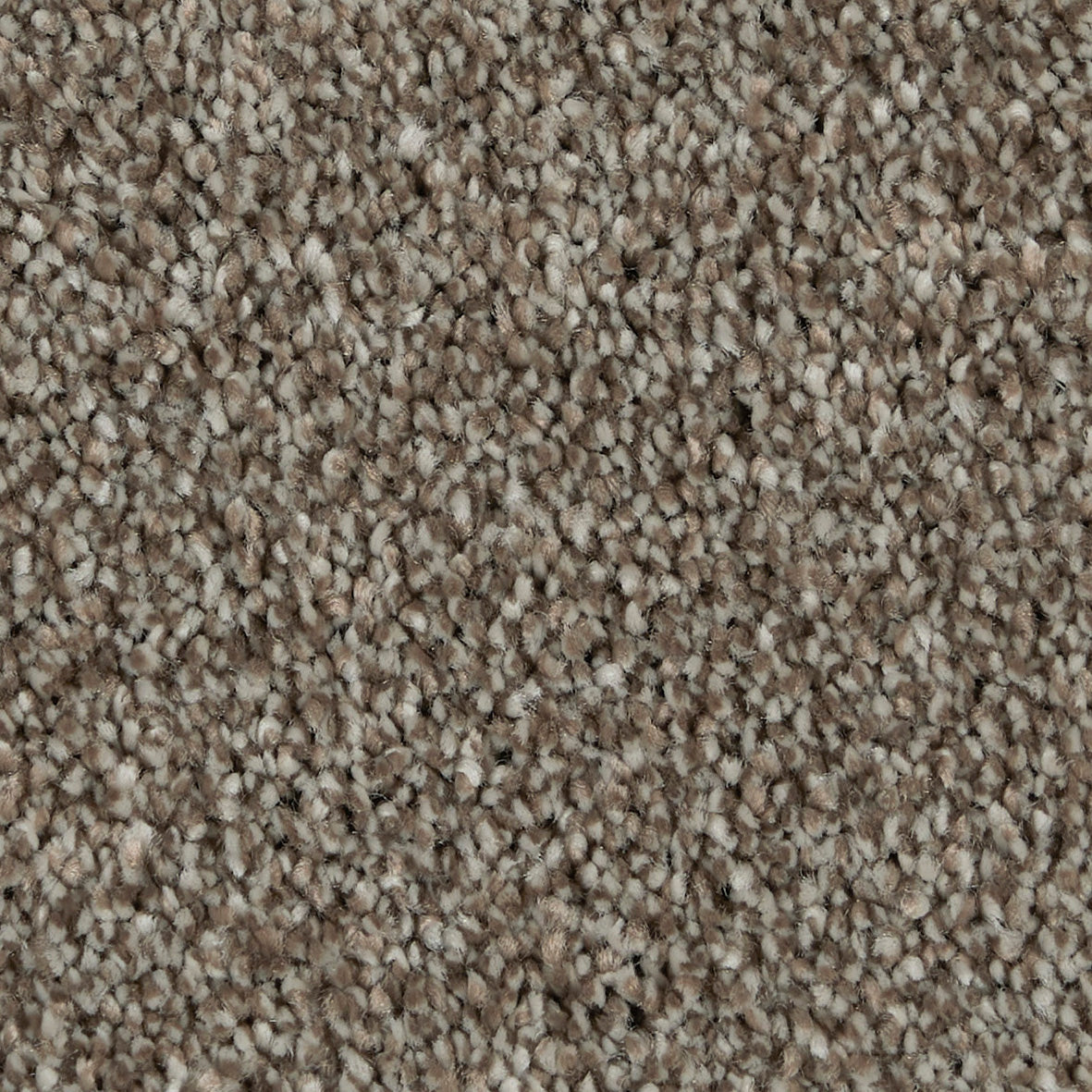 Gambit Misty Mountain 850 Carpet