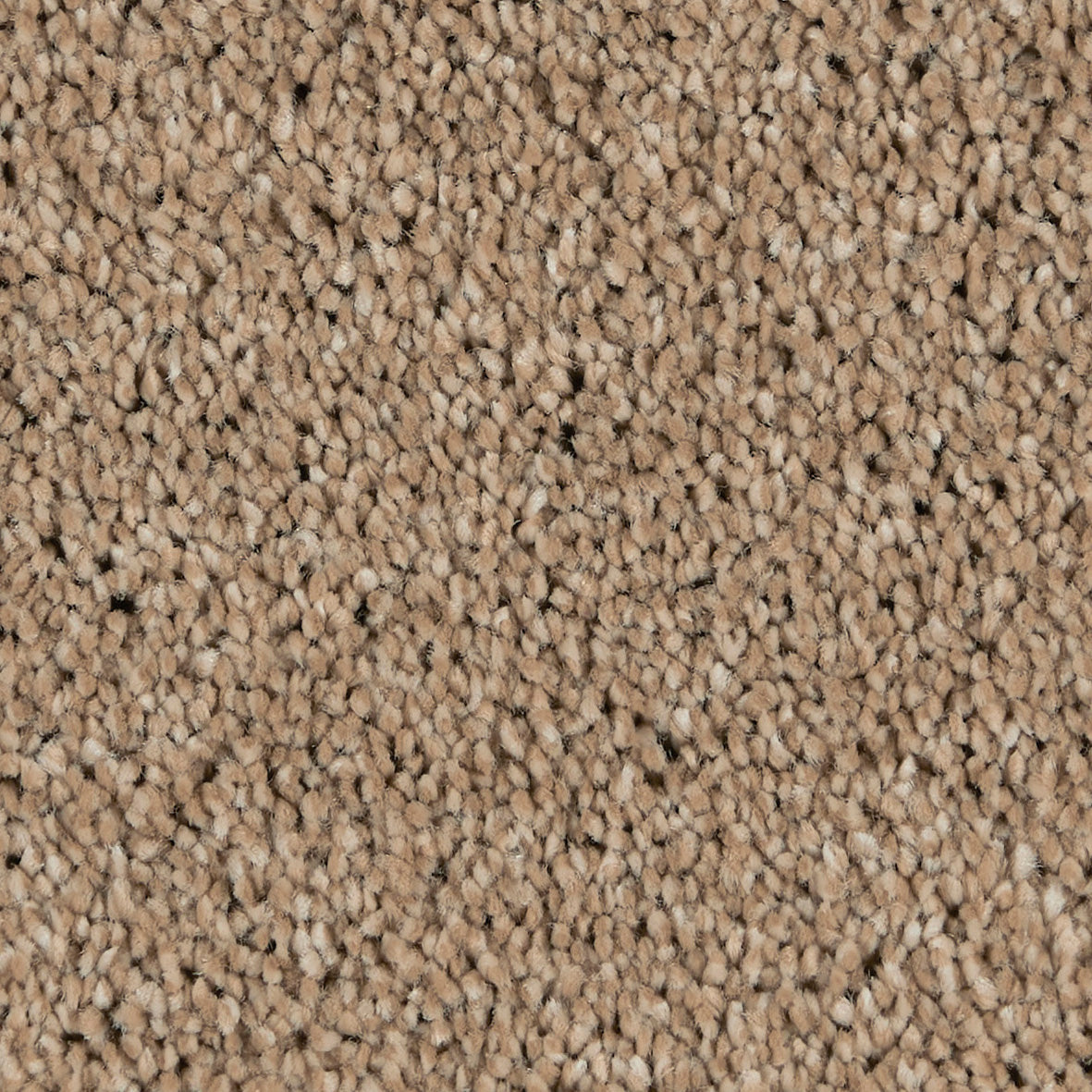 Gambit Sandy Steps 700 Carpet