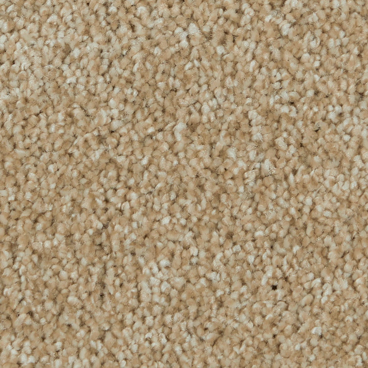 Gambit Milk Paint 640 Carpet
