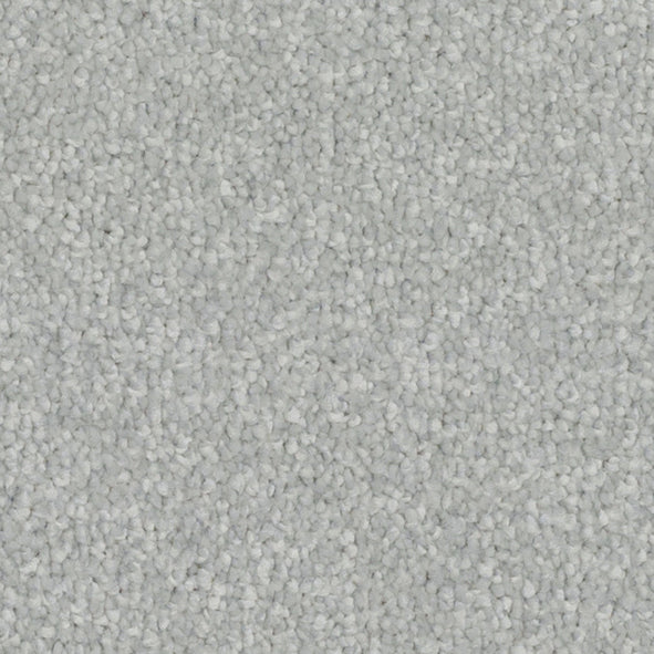 Pinnacle Silverpoint 910 Carpet