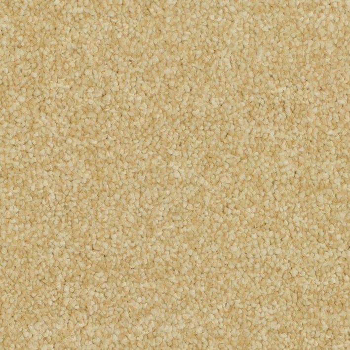 Pinnacle Glorius Gold 240 Carpet