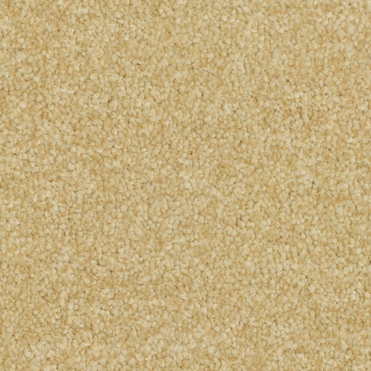 Pinnacle Glorius Gold 240 Carpet