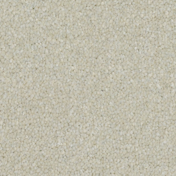 Pinnacle Combed Cotton 610 Carpet