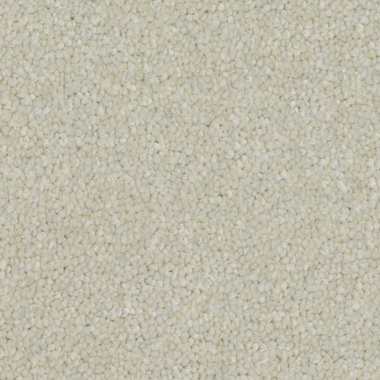 Pinnacle Combed Cotton 610 Carpet