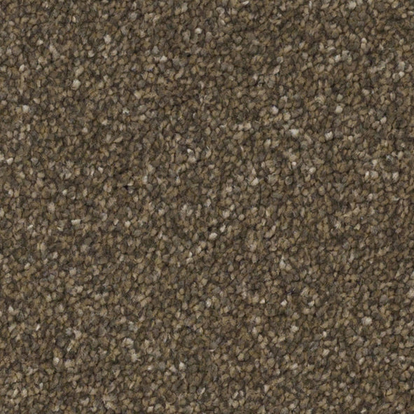 Pinnacle Bear Cub 800 Carpet