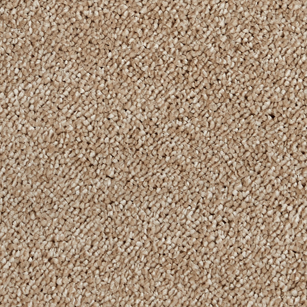 Sublime Tropical Sand 120 Carpet