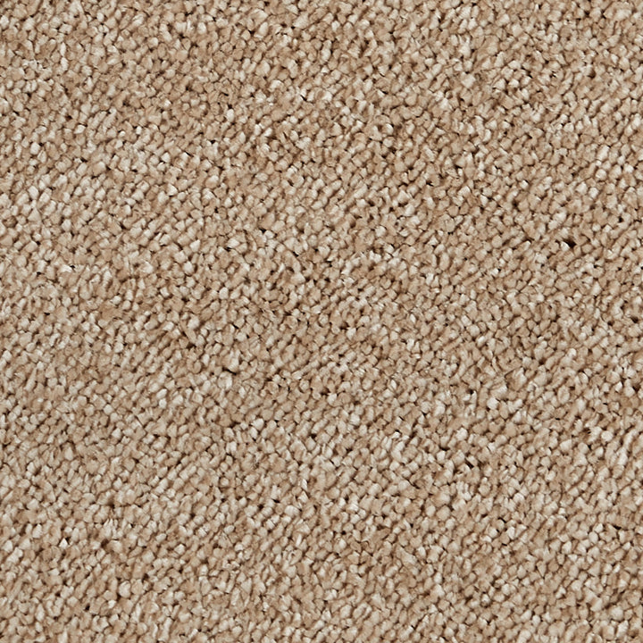 Sublime Tropical Sand 120 Carpet