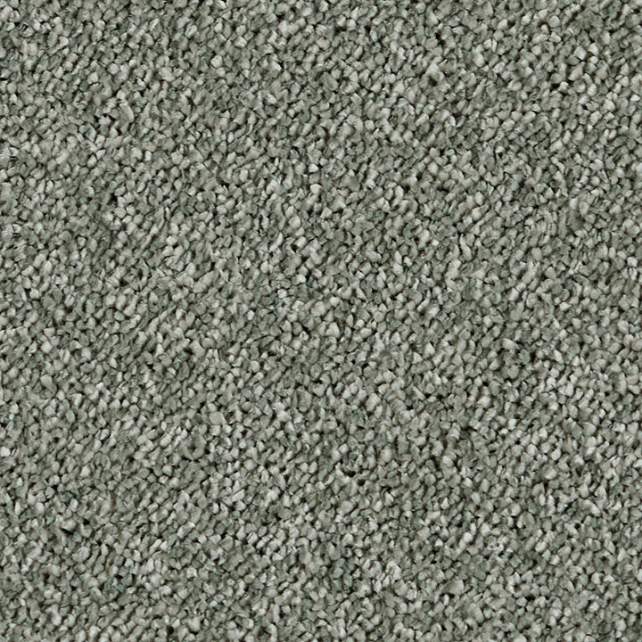 Sublime Sage Tint 450 Carpet